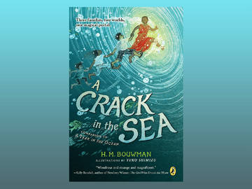 a crack in the sea by h m bouwman book cover